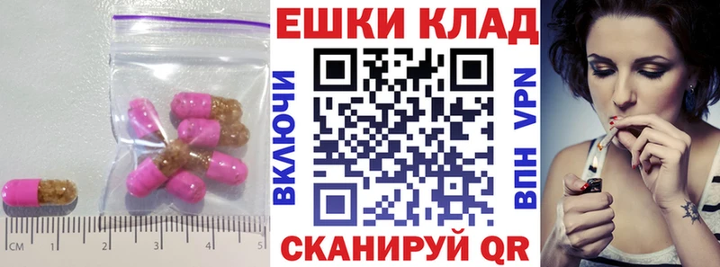 Ecstasy Philipp Plein  Шилка 