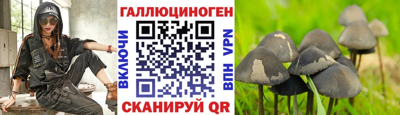 Псилоцибиновые грибы прущие грибы  Шилка 